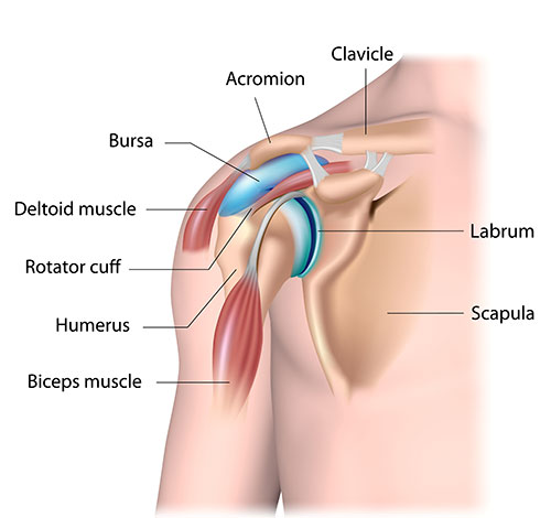 Shoulder Pain — Symptoms, Causes, & Treatment